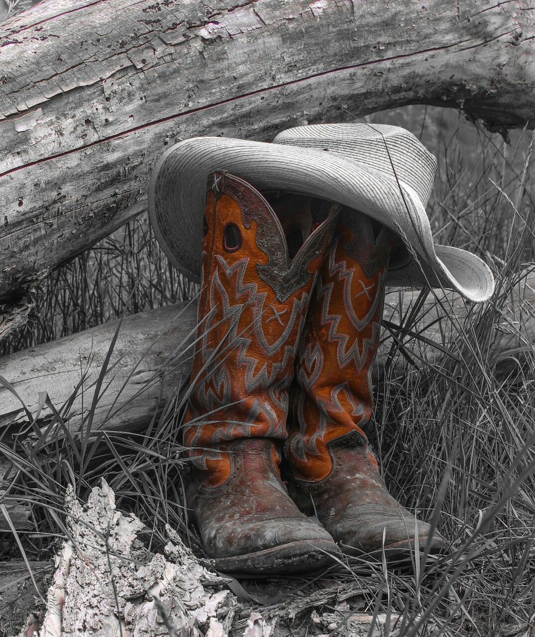 Cowboy boots