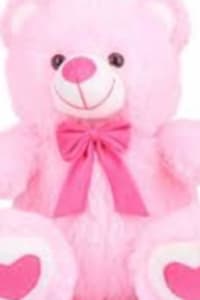 Pink Teddy Bear