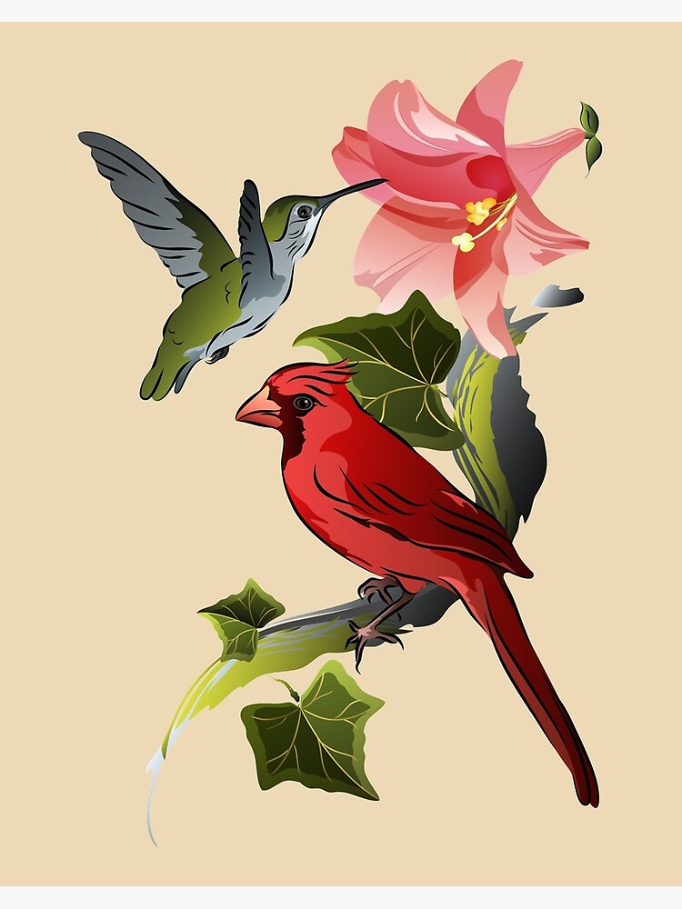 Cardinal and Hummingbird