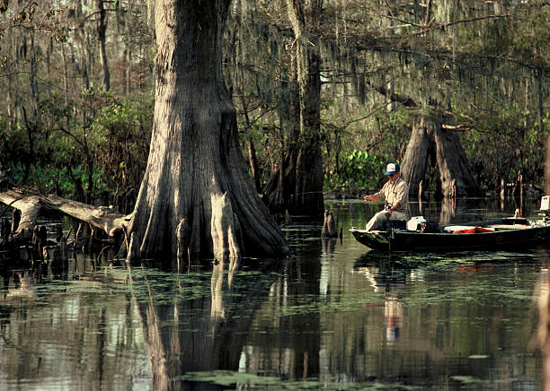 Bayou Fishing